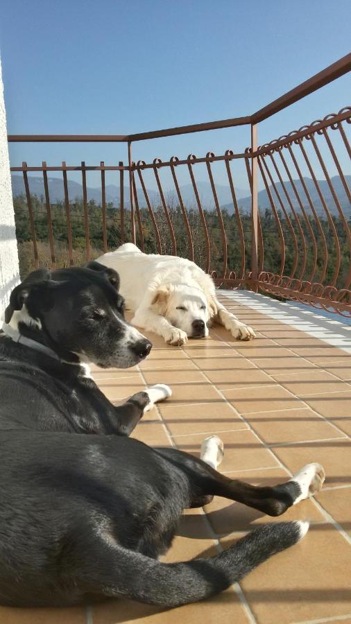 L'Arcadia Bed & Breakfast Giffoni Sei Casali Екстериор снимка