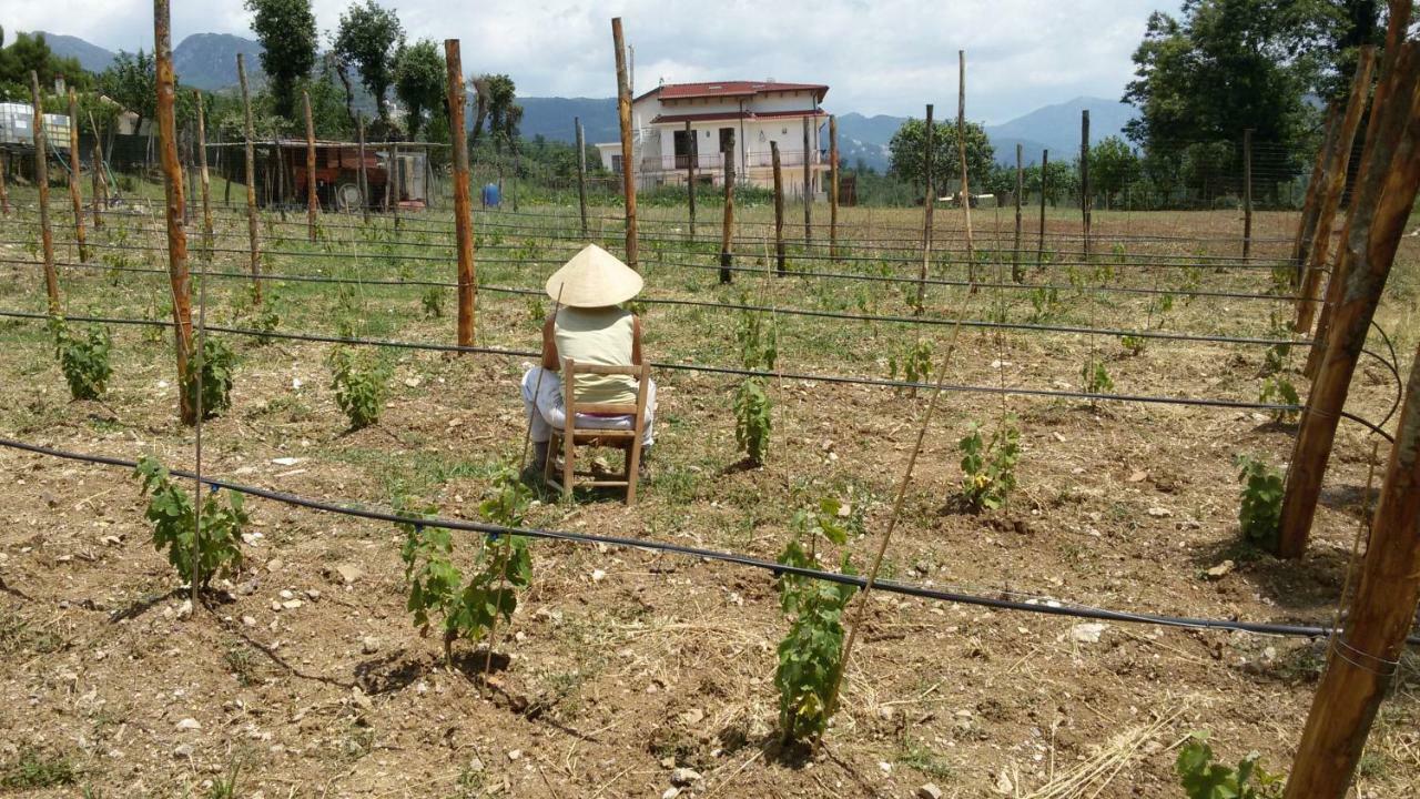 L'Arcadia Bed & Breakfast Giffoni Sei Casali Екстериор снимка